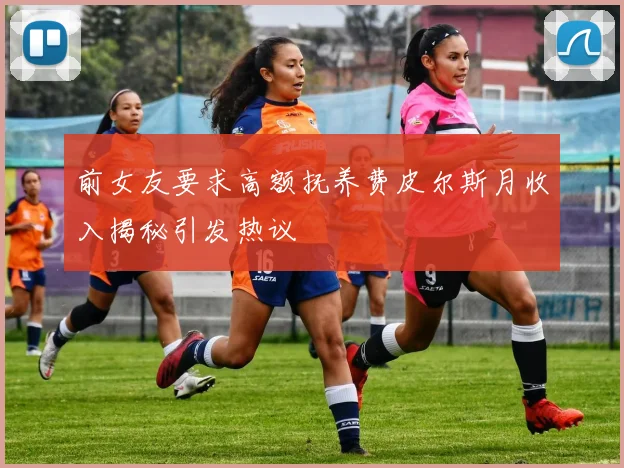 前女友要求高额抚养费皮尔斯月收入揭秘引发热议